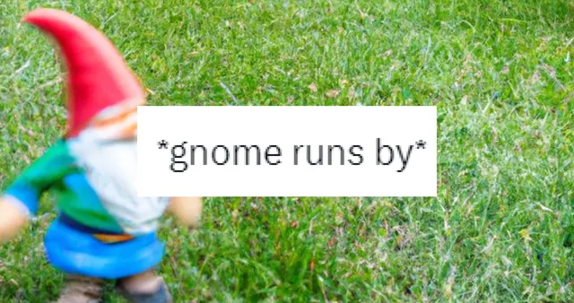 Carte meme A Gnome Runs Past Me