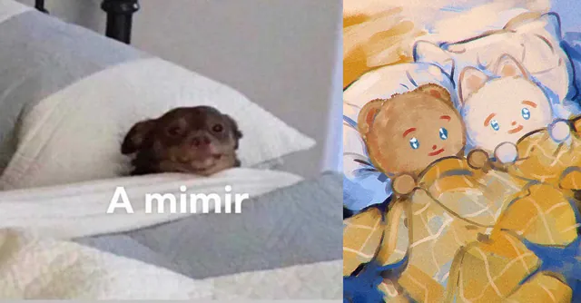 A Mimir / Two Mimir meme card