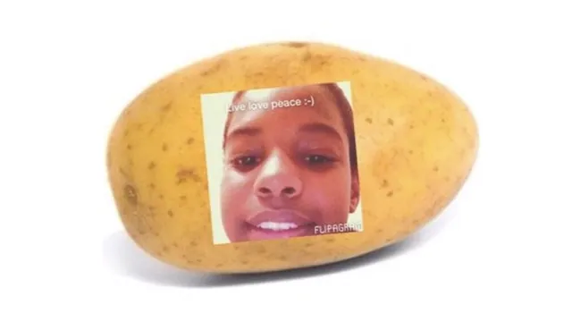 A Potato Flew Around My Room meme card