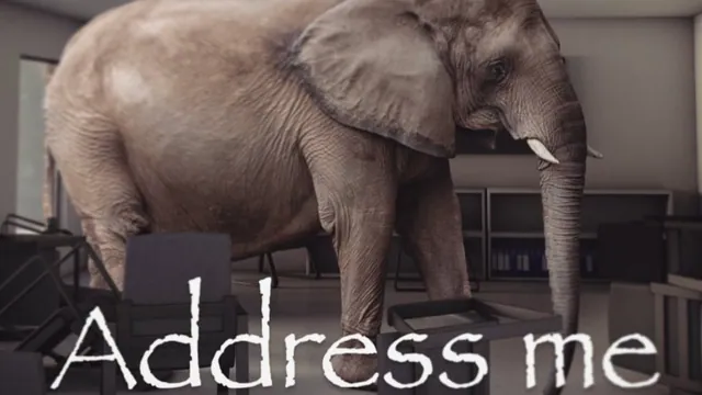 "Address Me" Elephant meme card