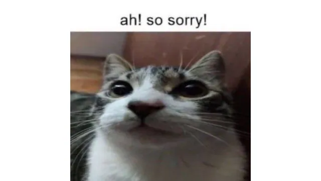 Carte meme ah! so sorry!