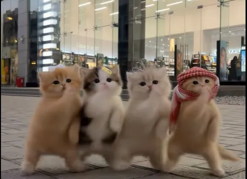 Carte meme AI Kittens Dancing