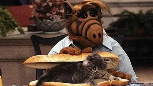 Alf Eating Cats meme card