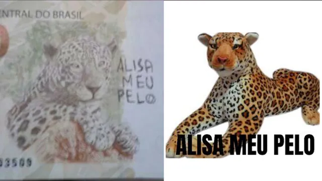 Alisa Meu Pelo / Smooth My Fur meme card