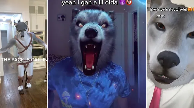 Alpha Werewolf Transformation (TikTok Filter) meme card
