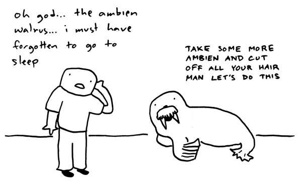 Ambien Walrus meme card