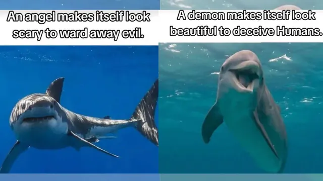An Angel Makes Itself Look Scary To Ward Off Evil. A Demon Makes Itself Beautifu... meme card