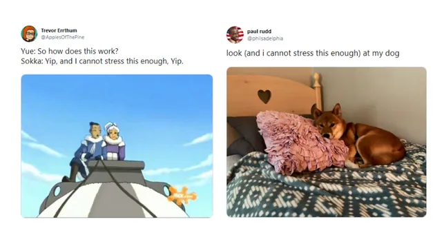 And I Cannot Stress This Enough meme card
