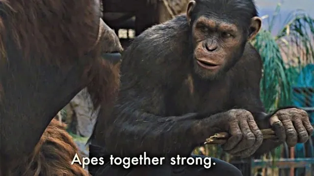 Apes Together Strong meme card