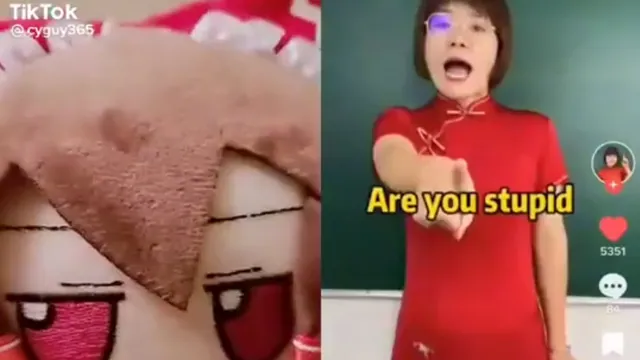 Are You Stupid? Get Out of Here! Fuck You meme card
