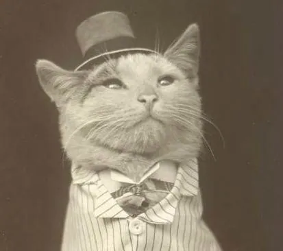 Aristocat meme card