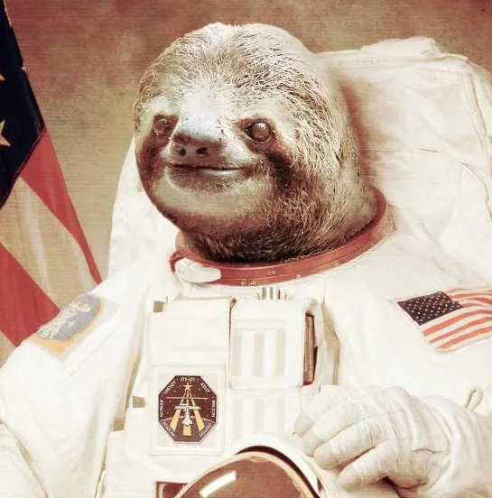Carte meme Astronaut Sloth