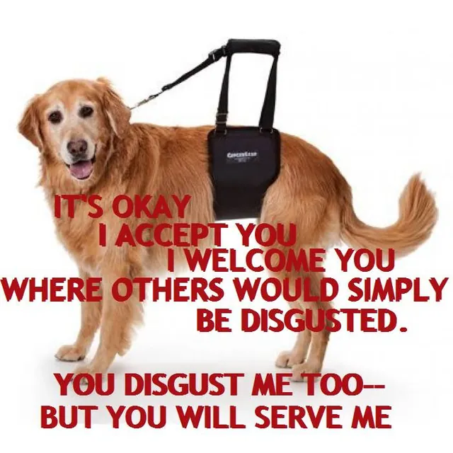 Aumm meme card