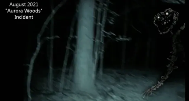 Aurora Woods Incident meme card