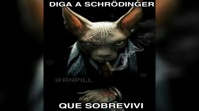 Avisem X / Avise, Vadia / Diga A X / Tell X meme card