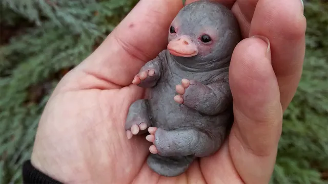 Carte meme Baby Platypus Sculpture