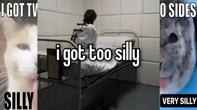 Being Silly / Too Silly meme card