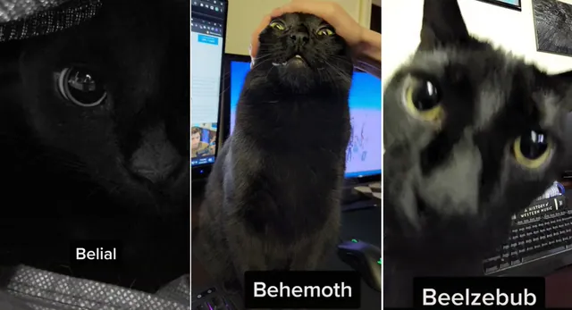 Belial Behemoth Beelzebub / "Year Zero" Ghost Trend meme card