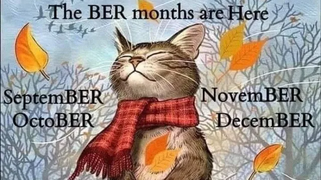 Carte meme Ber Months