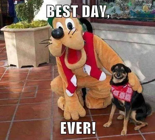 Carte meme Best. Day. Ever.