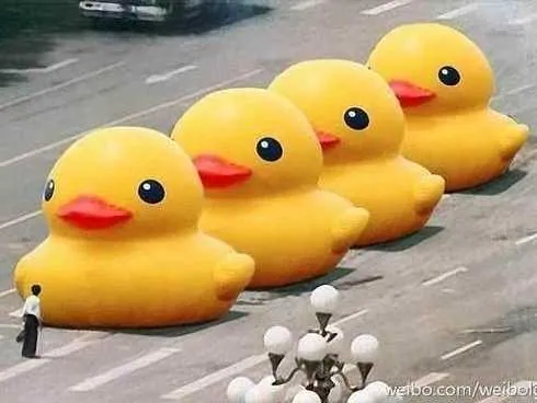 Big Yellow Duck meme card