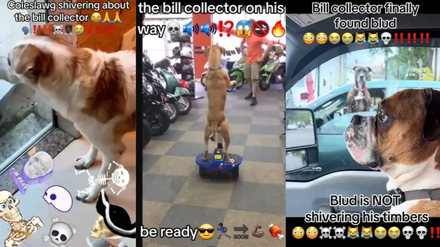 Carte meme Bill Collector