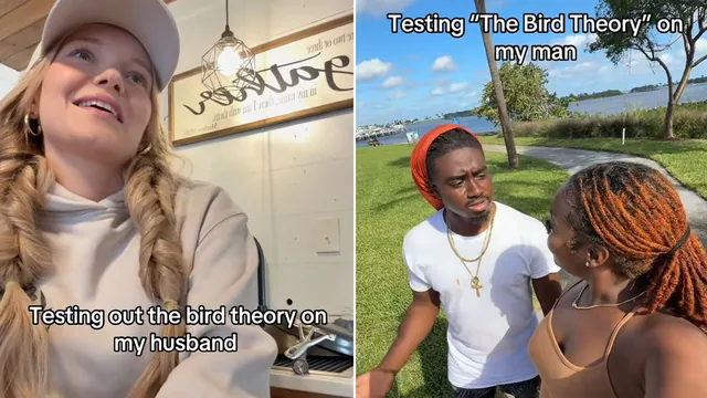 Bird Theory meme card
