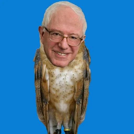 Birdie Sanders meme card
