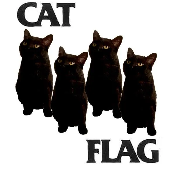 Black Flag Logo Parodies meme card