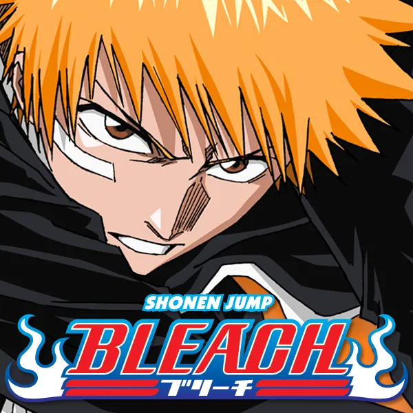 Bleach meme card
