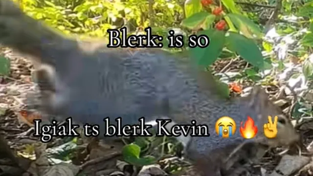 Carte meme Blerk (Slang)