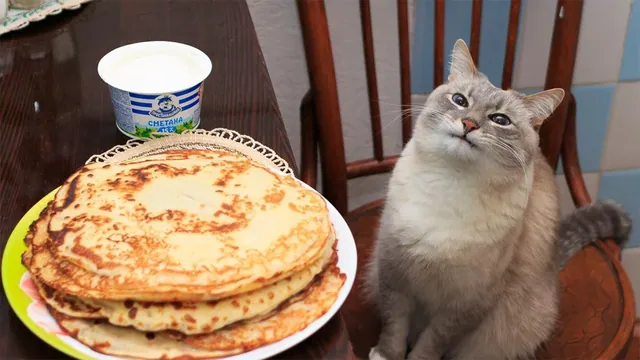 Carte meme Blini Cat