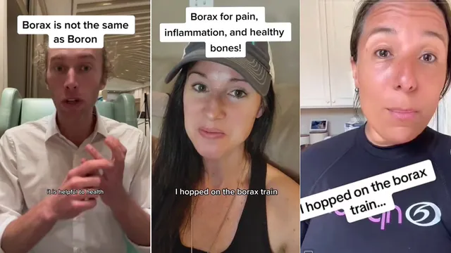 Borax Train / Ingesting Borax TikTok Trend meme card