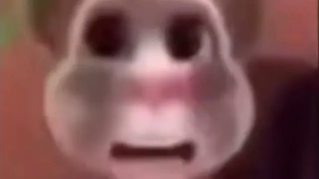 Boy What The Hell Boy meme card