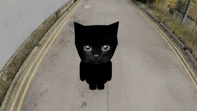 Carte meme Bro the Cat
