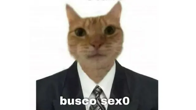 Busco Sexo meme card