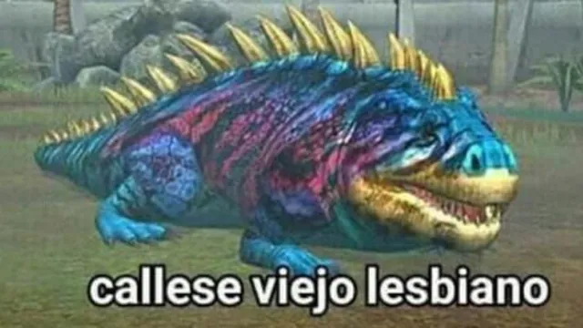 Callese Viejo Lesbiano meme card