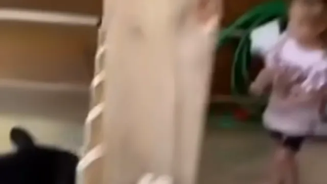 CAN I PET THAT DAWG ?! meme