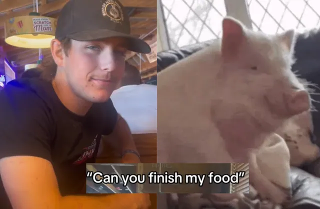 Can You Finish My Food Trend meme card