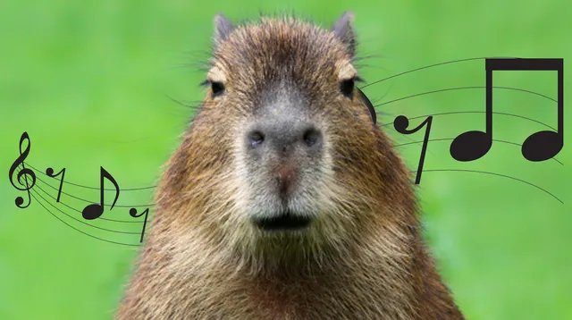Capybara Song / Капибара meme card