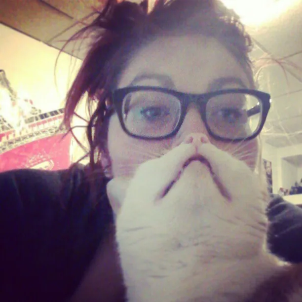 Cat Beards meme card