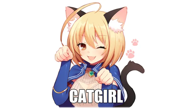 Cat Girl meme card