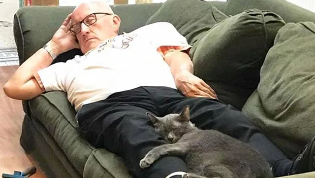 Cat Grandpa meme card