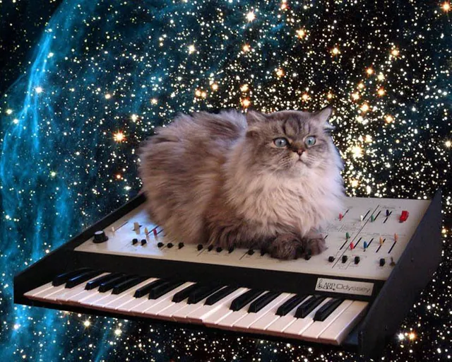 Cat on a Keyboard in Space meme card