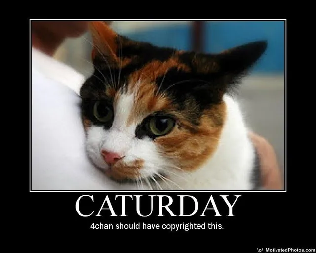 Carte meme Caturday
