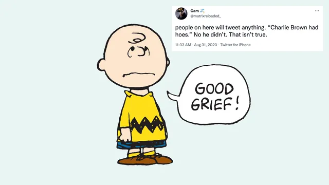 Carte meme Charlie Brown Had Hoes