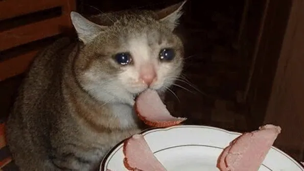 Carte meme Cats Can Have a Little Salami