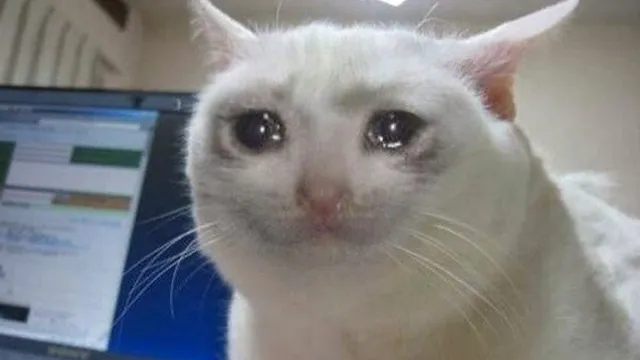 Carte meme Crying Cat