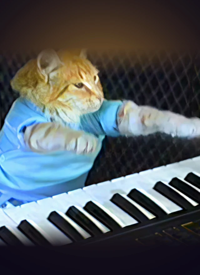 Carte meme Keyboard Cat — Full Art