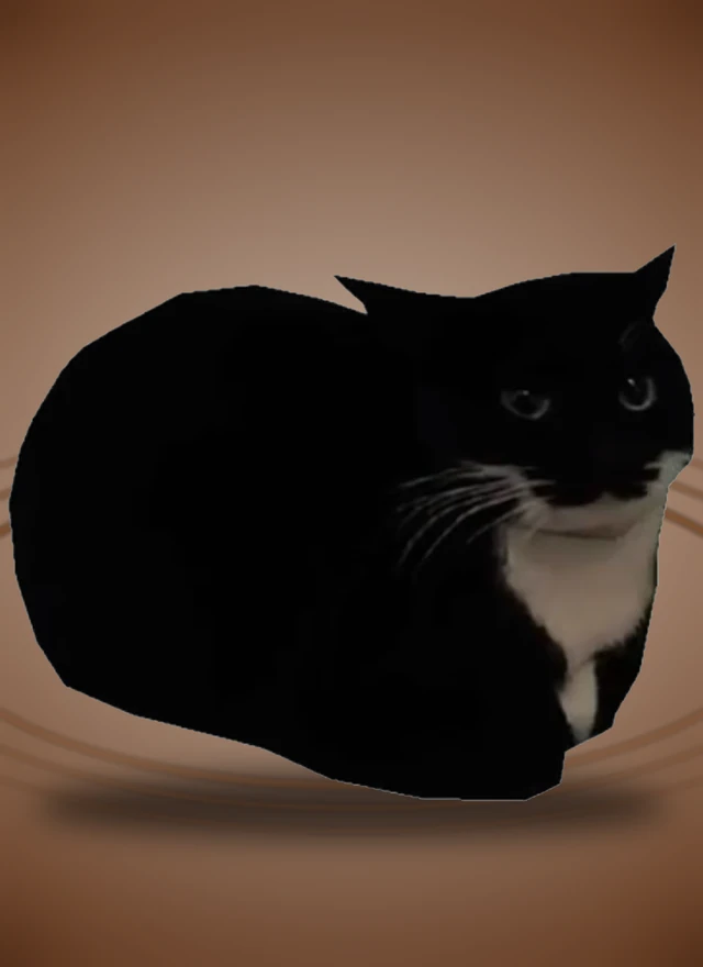 Carte meme Maxwell
